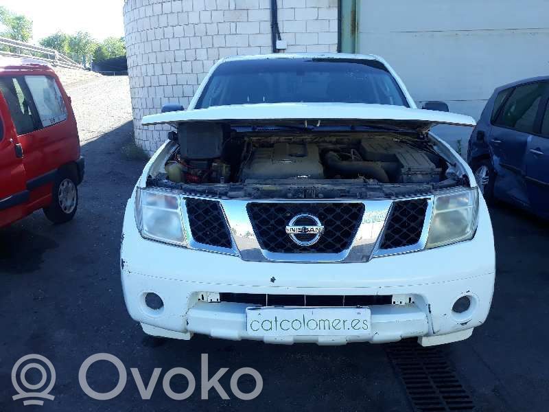 Pathfinder R51 Pathfinder  284B24X00A