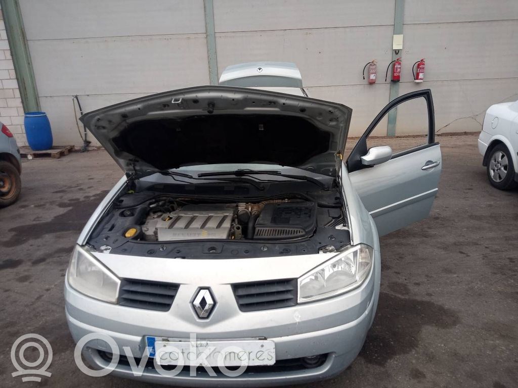Megane II Megane  2542818B
