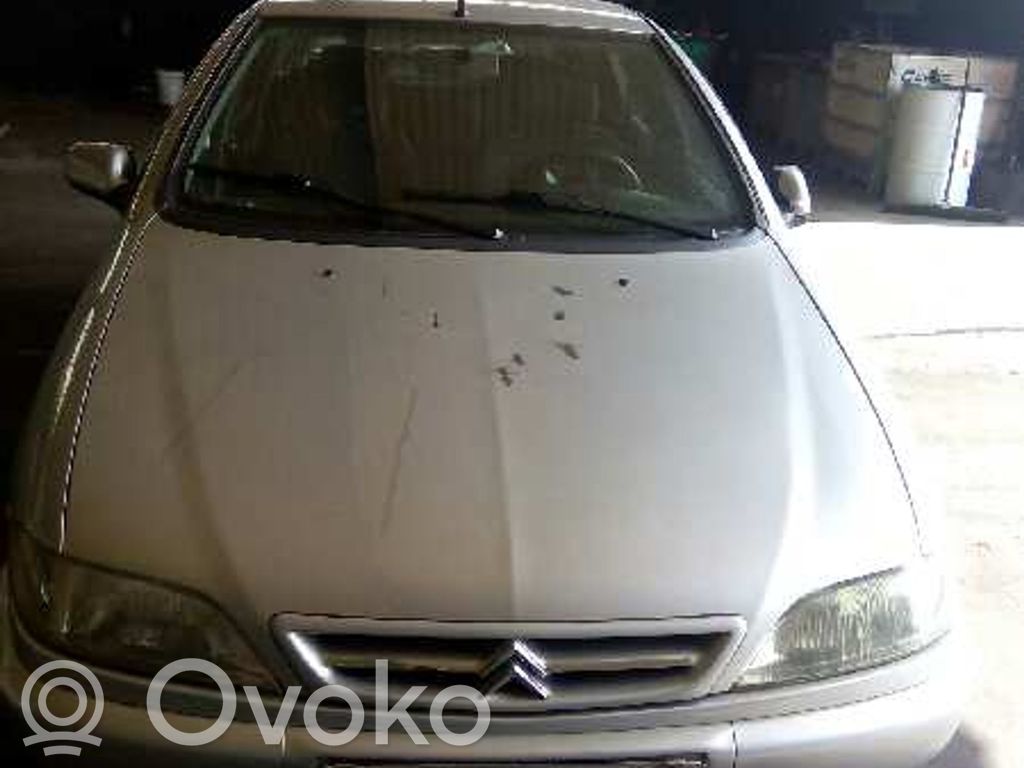 Xsara Xsara, Xsara Picasso