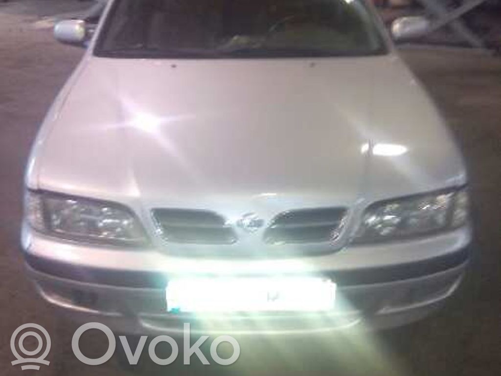 Primera Primera  36931B03C9