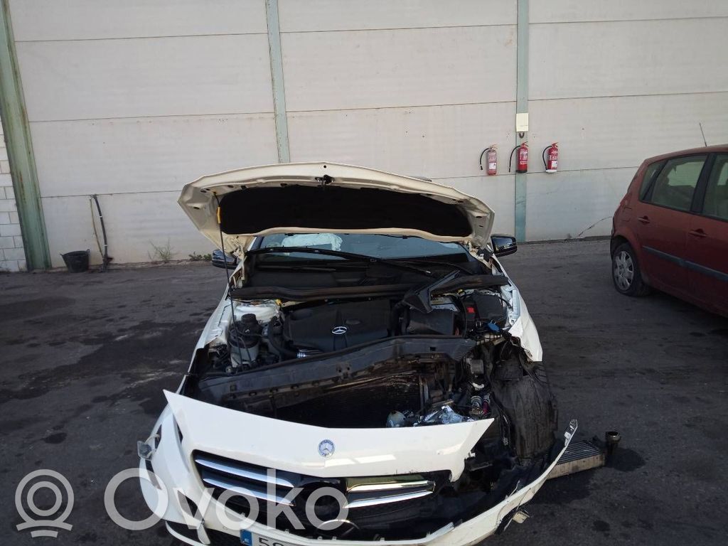 A W176 A-class  A2469009802