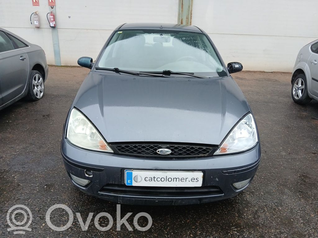 Focus Focus  1133994