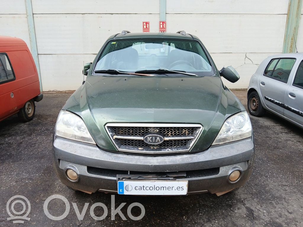 Sorento Sorento  491003E300