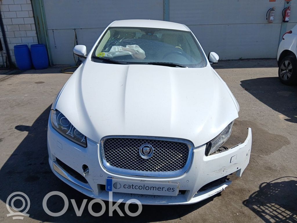 XF X250 XF  CX2313404AD