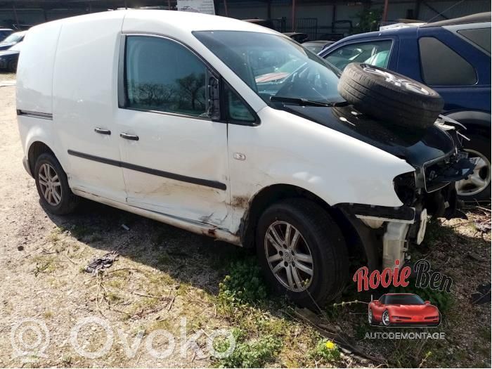 Caddy Caddy  10097003173