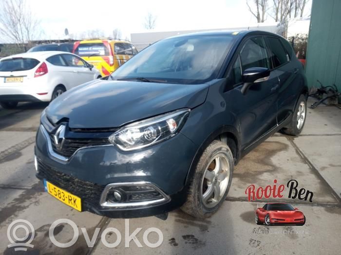 Captur Captur  1072535S02