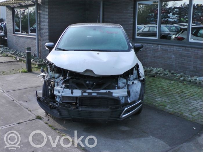 Captur Captur  254216614R