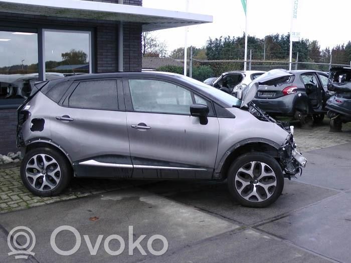 Captur Captur  2010720519