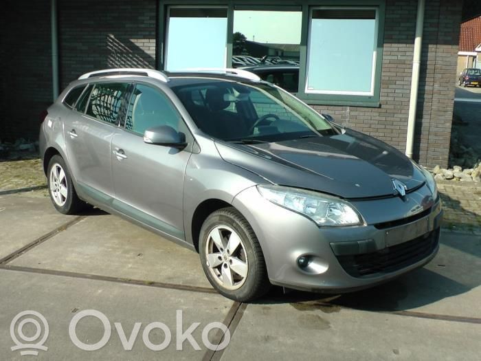 Megane III Megane  255670019R