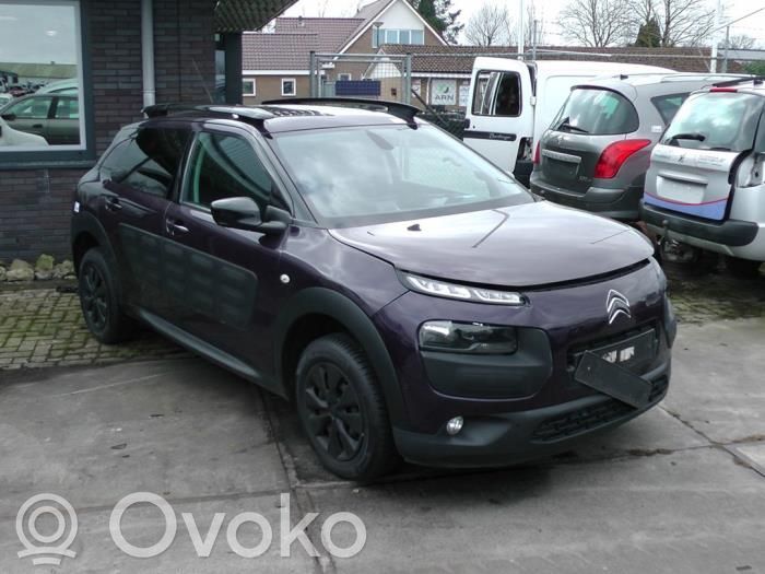 C4 Cactus C4 Picasso, Grand Picasso, Aircross, Cactus  9810476280