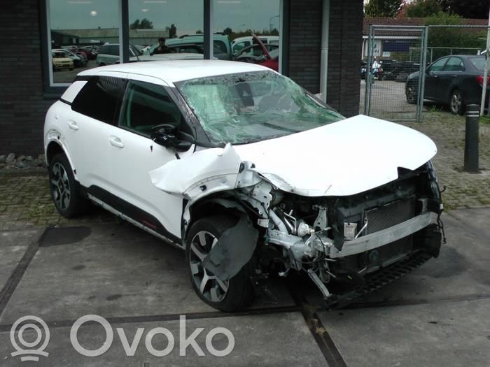 C4 Cactus C4 Picasso, Grand Picasso, Aircross, Cactus  9804208180