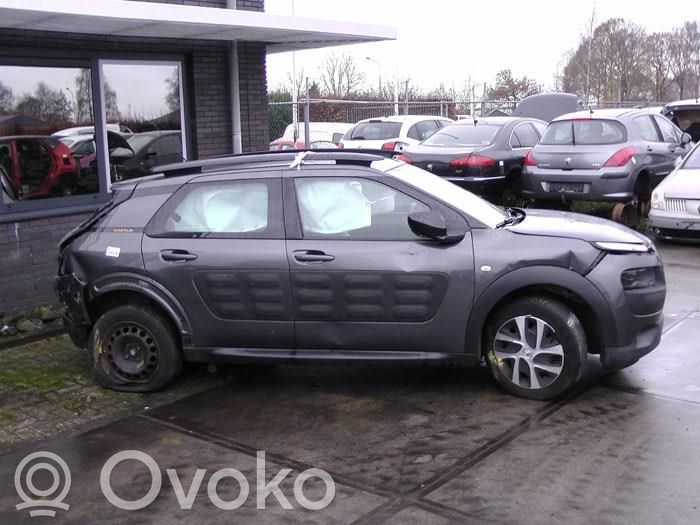 C4 Cactus C4 Picasso, Grand Picasso, Aircross, Cactus