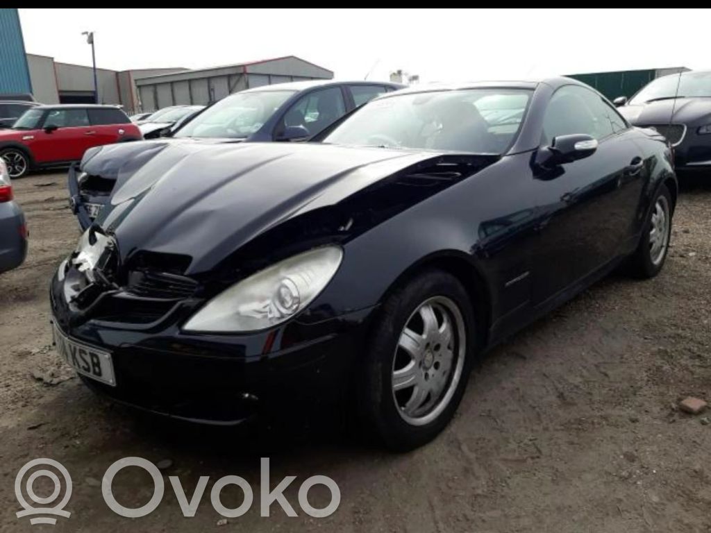 SLK R171 SLK-class, AMG (W170, W171, W172)  A1718203461