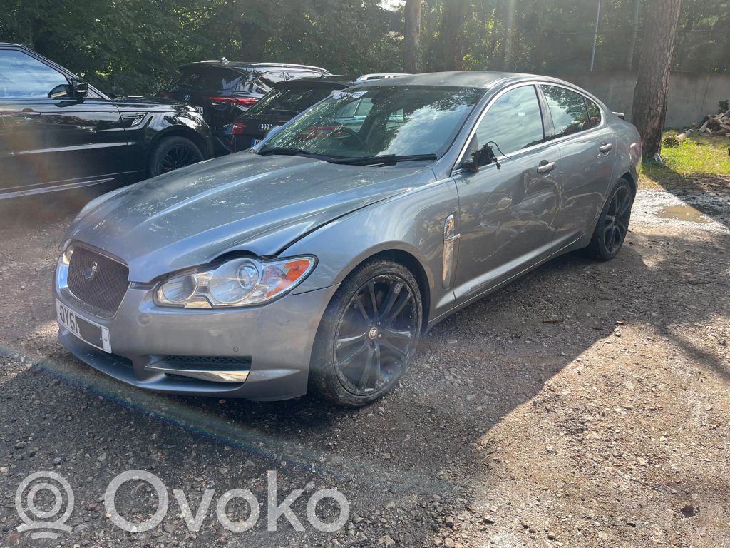 XF X250 XF  8W8317B043AA