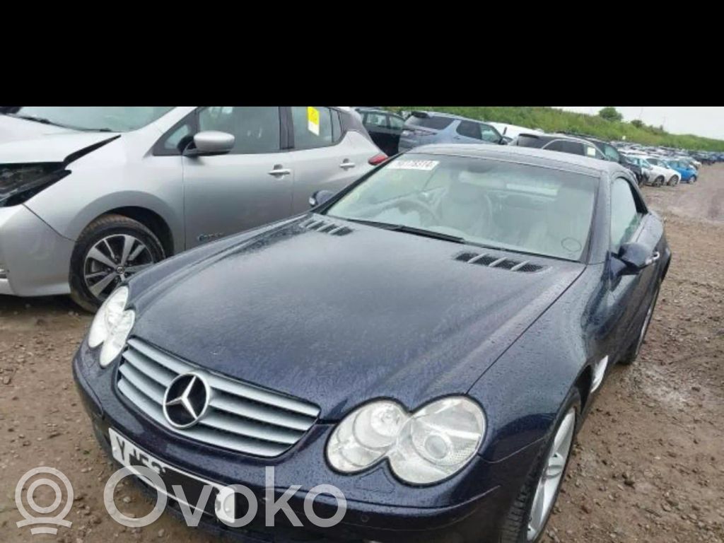 SL R230 SL-class, AMG (R107, R129, R230, R231)  43R001413