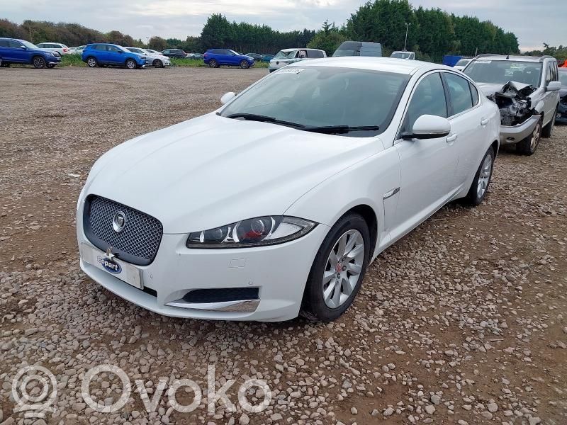XF X250 XF  0265951911
