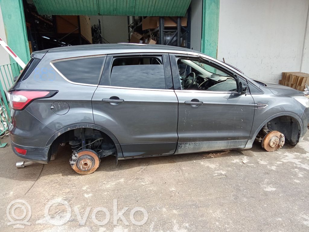 Kuga II Kuga  2344151