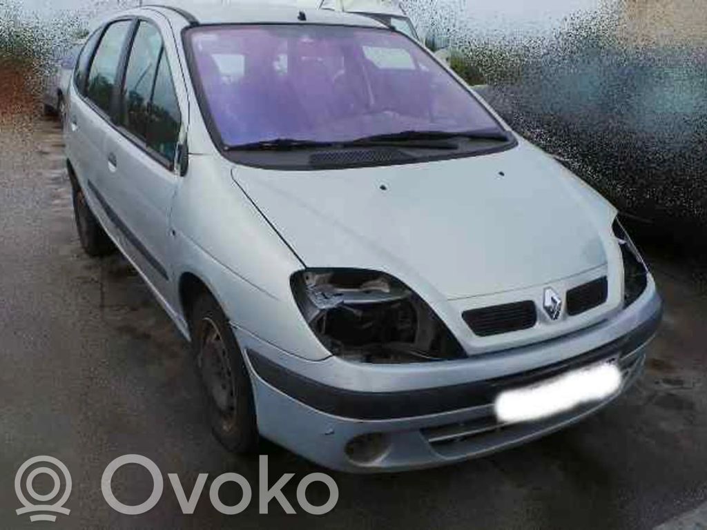 Scenic RX Scenic  37002A22C2E0724V