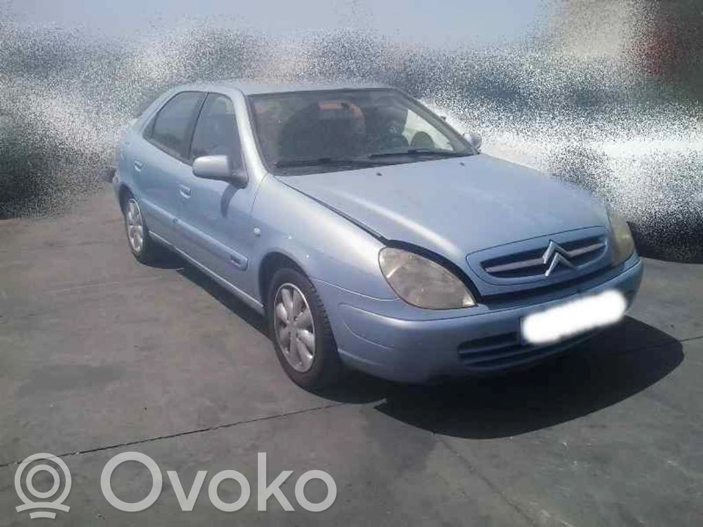 Xsara Xsara, Xsara Picasso