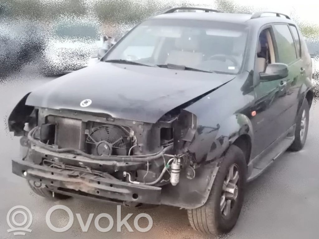 Rexton Rexton