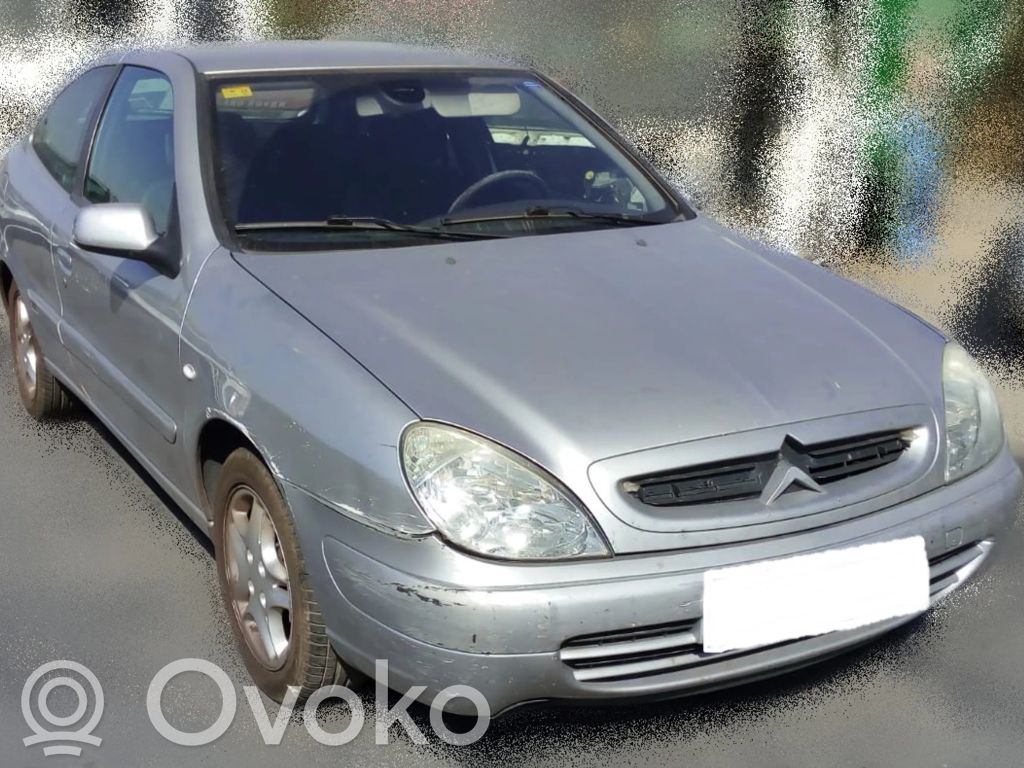 Xsara Xsara, Xsara Picasso