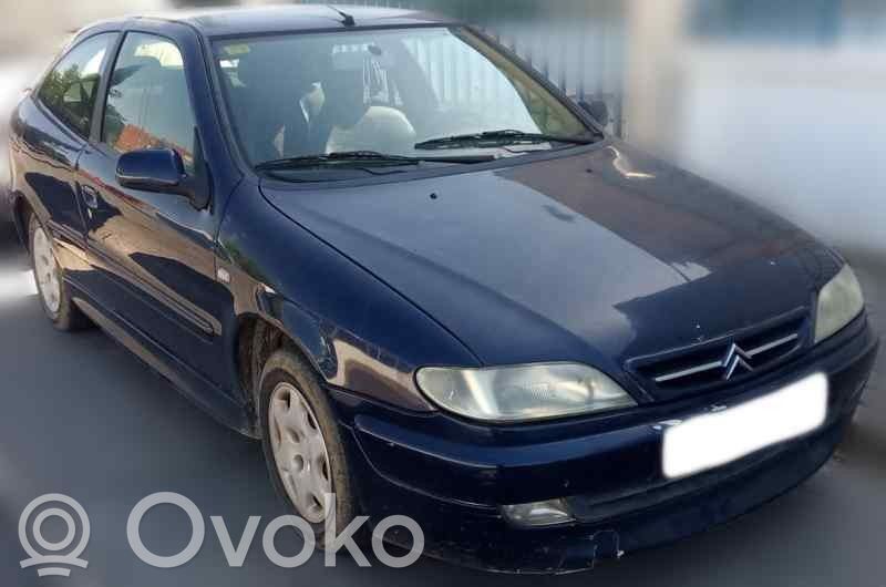 Xsara Xsara, Xsara Picasso