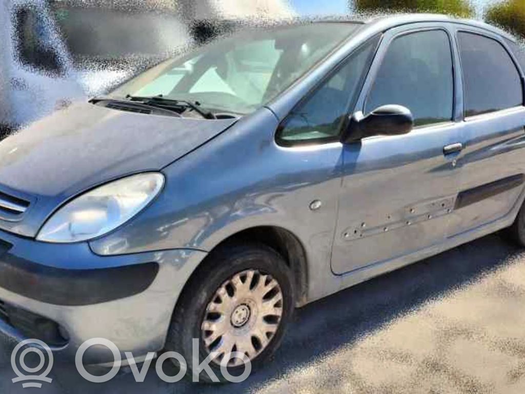 Xsara Xsara, Xsara Picasso