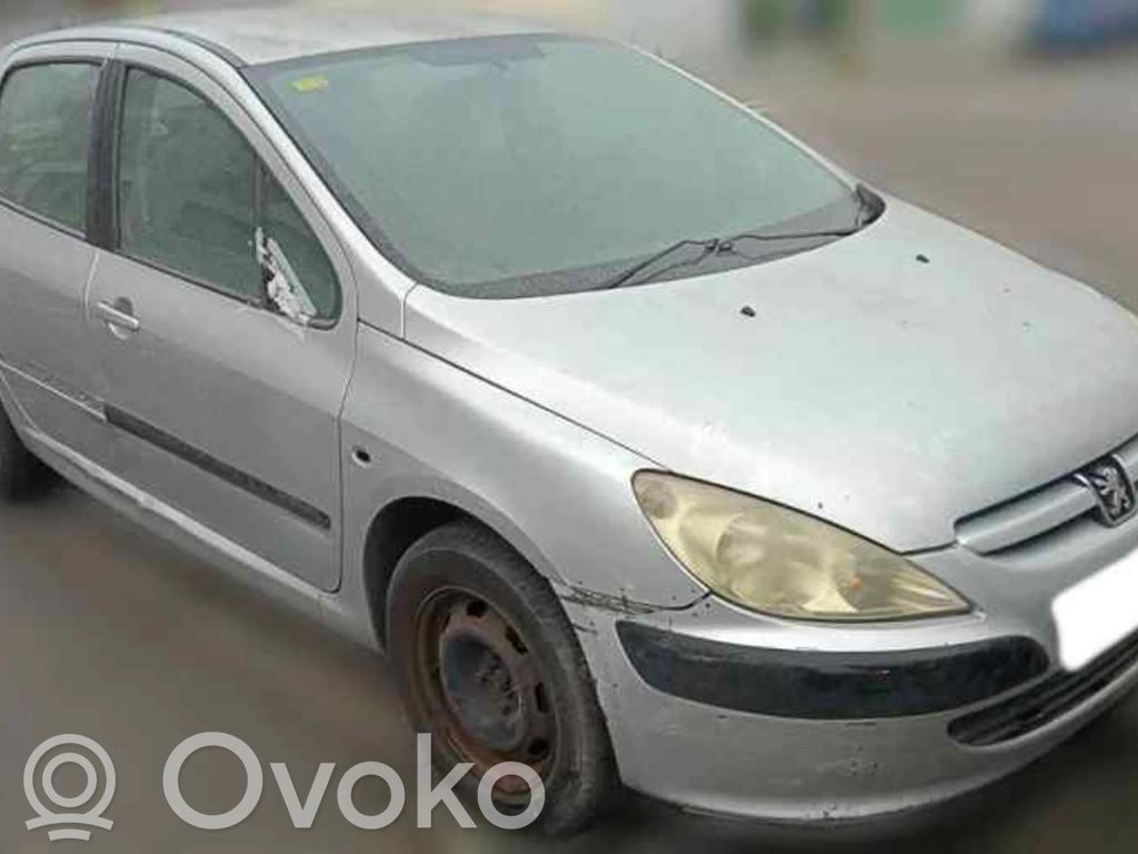 307 307  9649611780