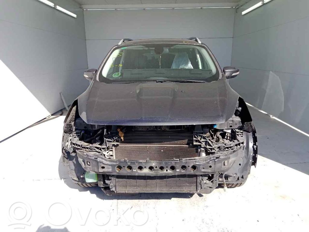 Kuga II Kuga  SINREFERENCIA