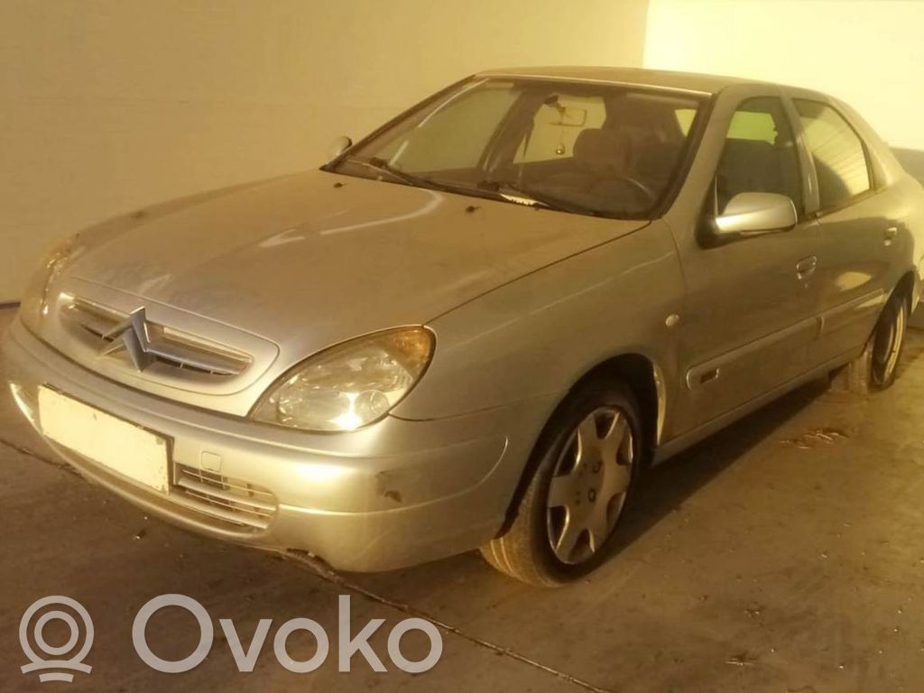 Xsara Xsara, Xsara Picasso