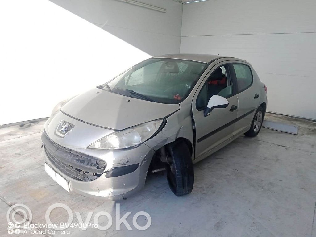 207 207  F4321651