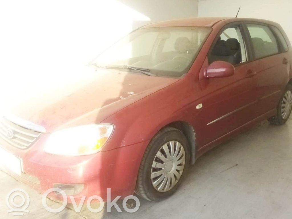Cerato Cerato