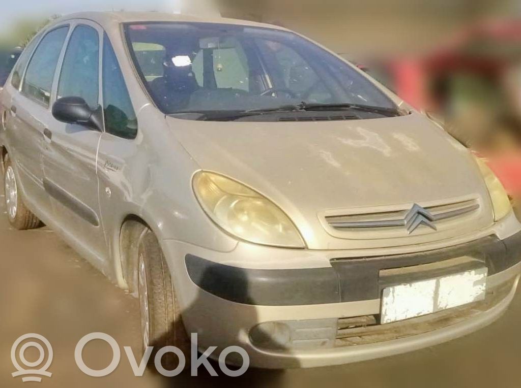 Xsara Xsara, Xsara Picasso