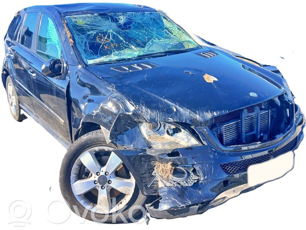 ML W164 ML-class, AMG (W163, W164, W166)