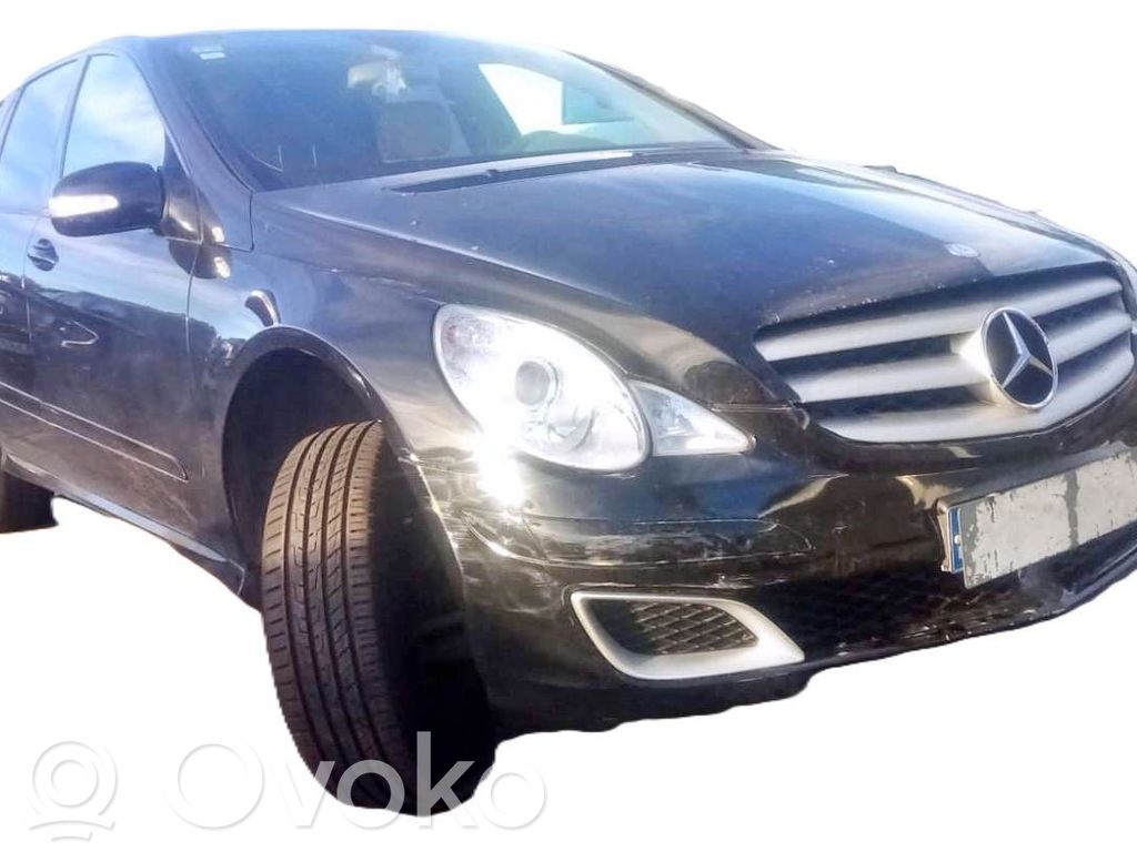 R W251 R-class, AMG (W251)  SINREFERENCIA