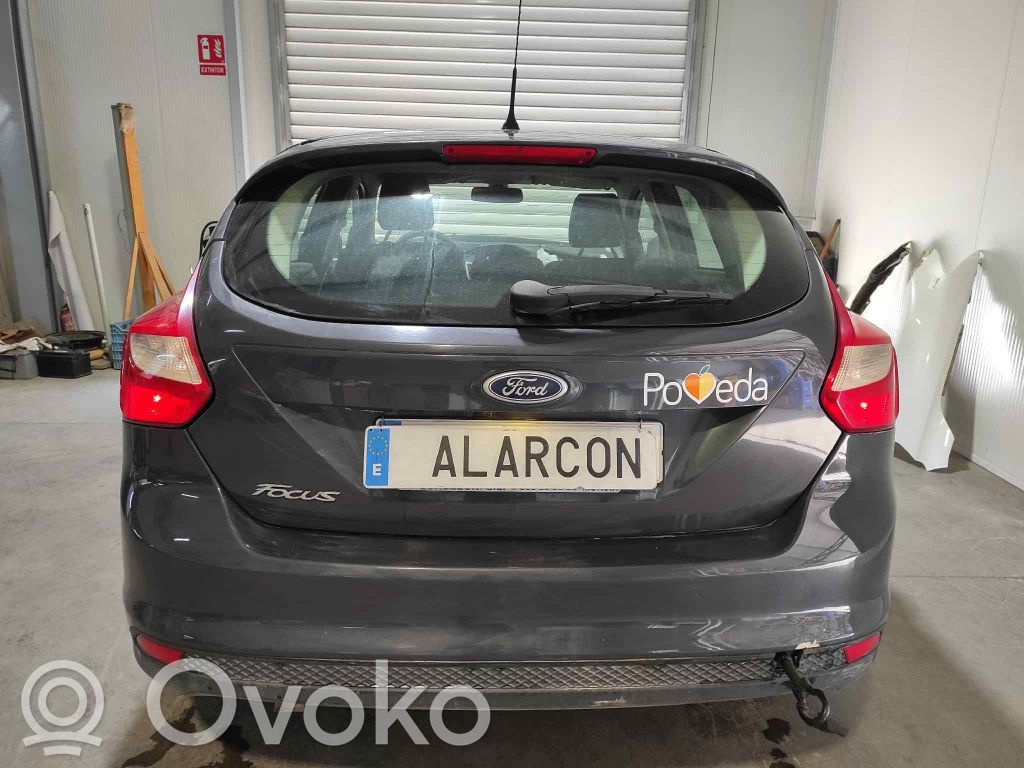 Focus Focus  1879756