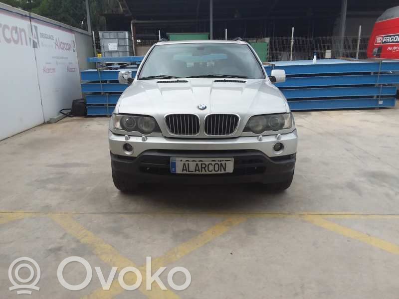 X5 E53 X5  61316907288