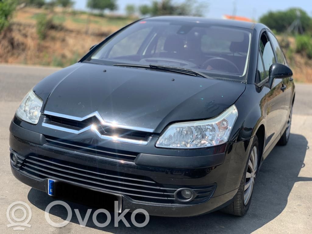 C4 I C4 Picasso, Grand Picasso, Aircross, Cactus  9002W1