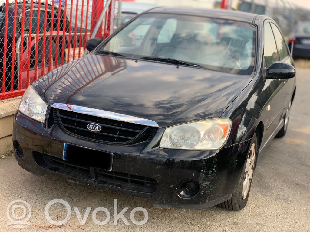 Cerato Cerato