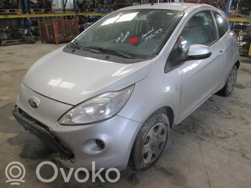 Ka Ka  1885666