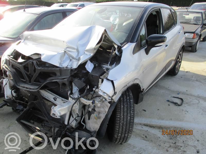 Captur Captur  256109128R