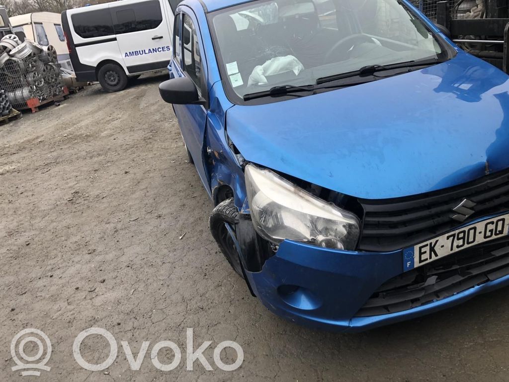 Celerio Celerio  3140084M0