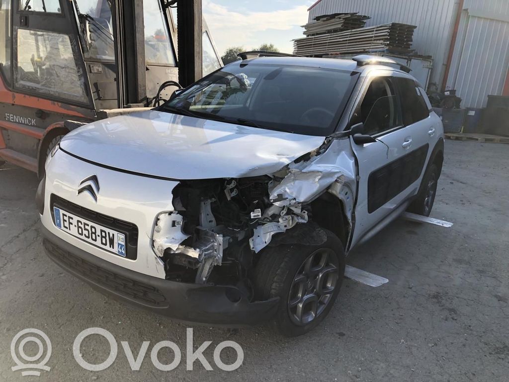 C4 Cactus C4 Picasso, Grand Picasso, Aircross, Cactus  1620373680