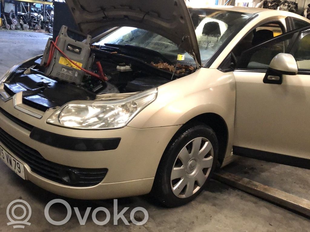C4 I C4 Picasso, Grand Picasso, Aircross, Cactus  8976F6