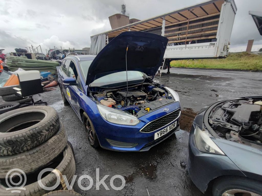 Focus Focus  10106516