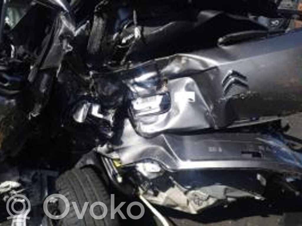 C4 Cactus C4 Picasso, Grand Picasso, Aircross, Cactus  98312695ZD