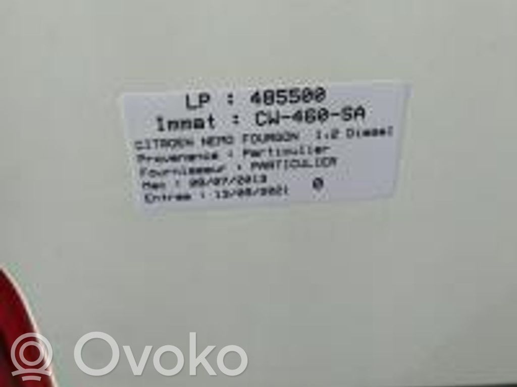 Nemo Nemo  1637832480