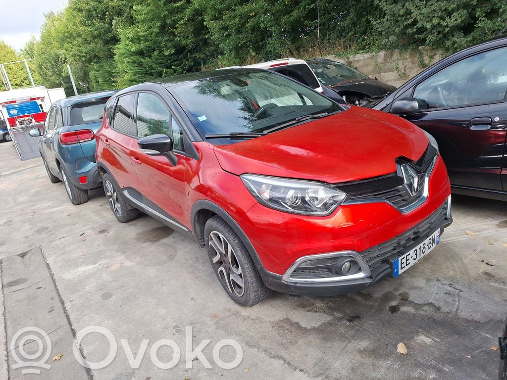 Captur Captur  255405718R