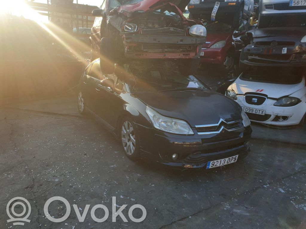 C4 I C4 Picasso, Grand Picasso, Aircross, Cactus  0281011629