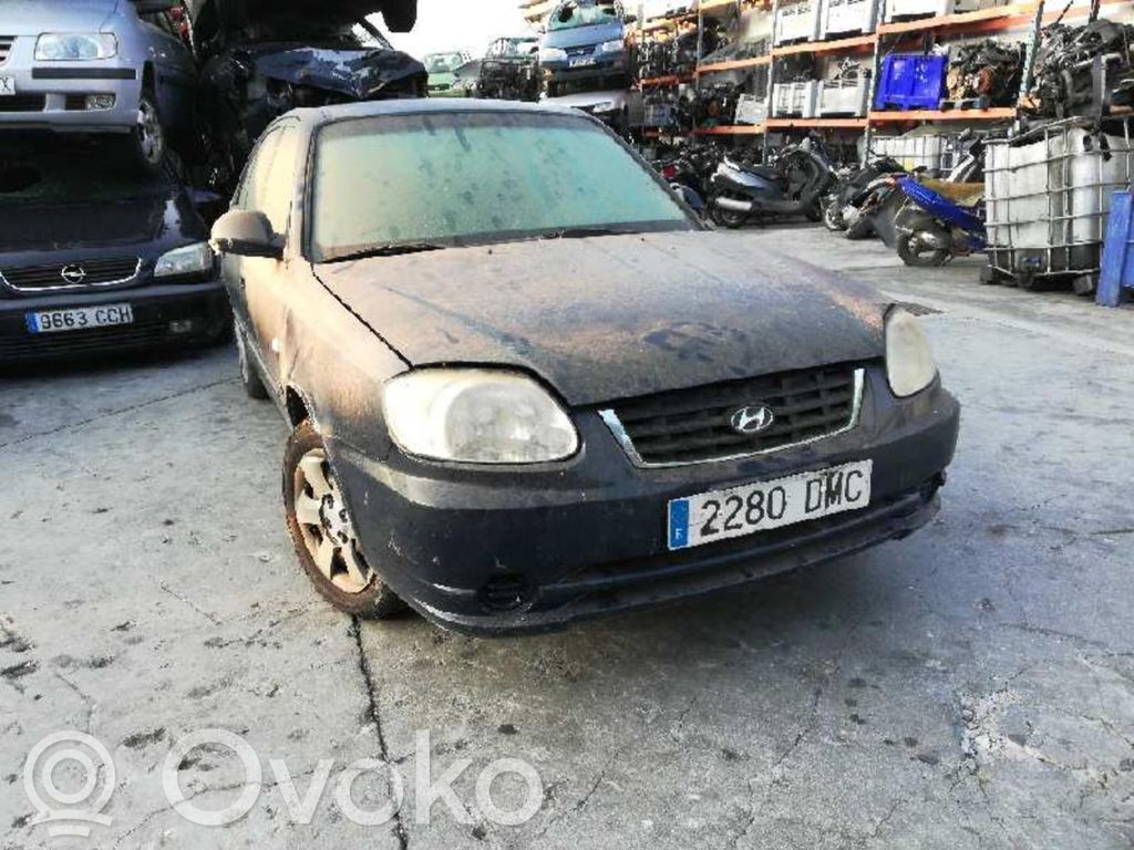 Accent Accent  85029102